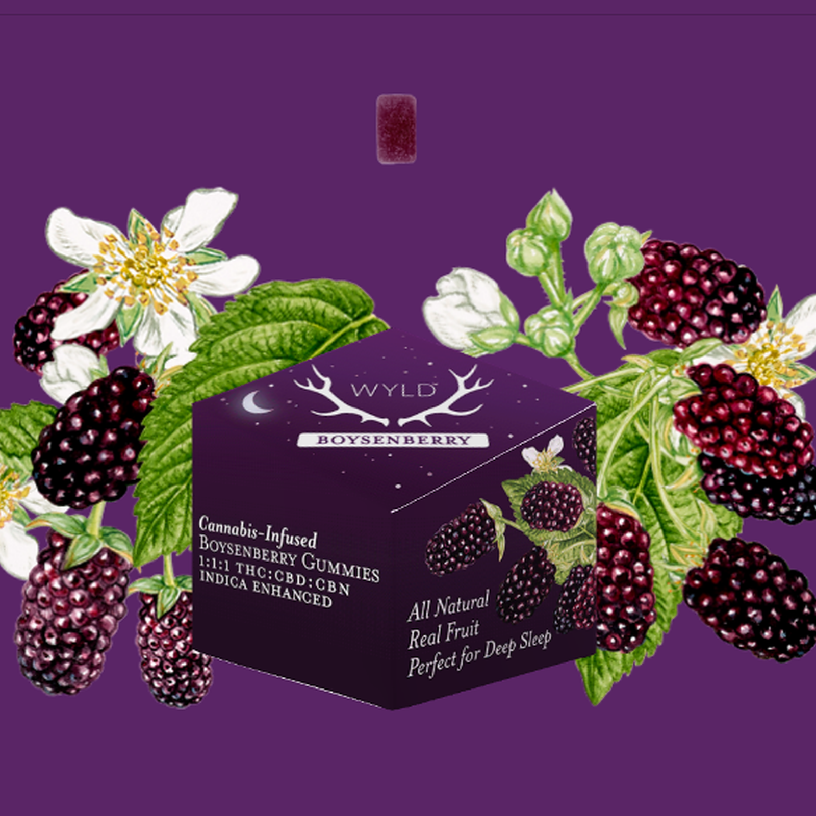 Photograph of product: Boysenberry 1:1:1 Gummies (TH-oui:CBD:CBN) - Oui'd