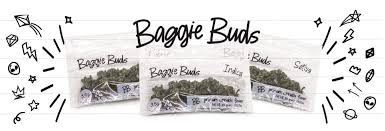 Photograph of Product: Cannaloupe Haze Baggie Buds - 3.5g