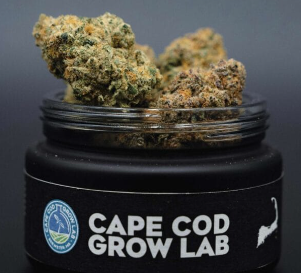 Photograph of product: Cape White Shark | 14g | Small Buds