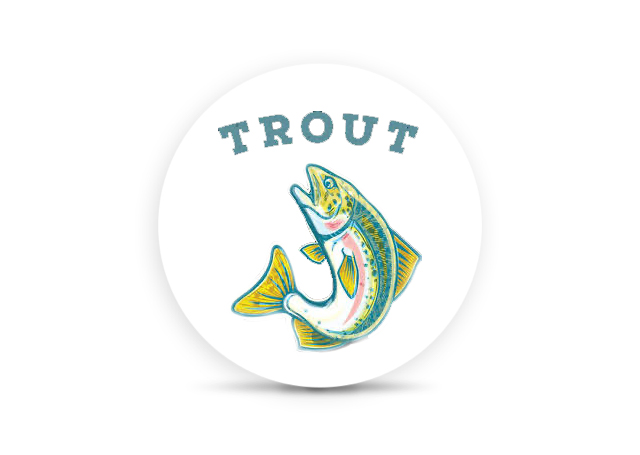 Logo for img-fluid: Trout
