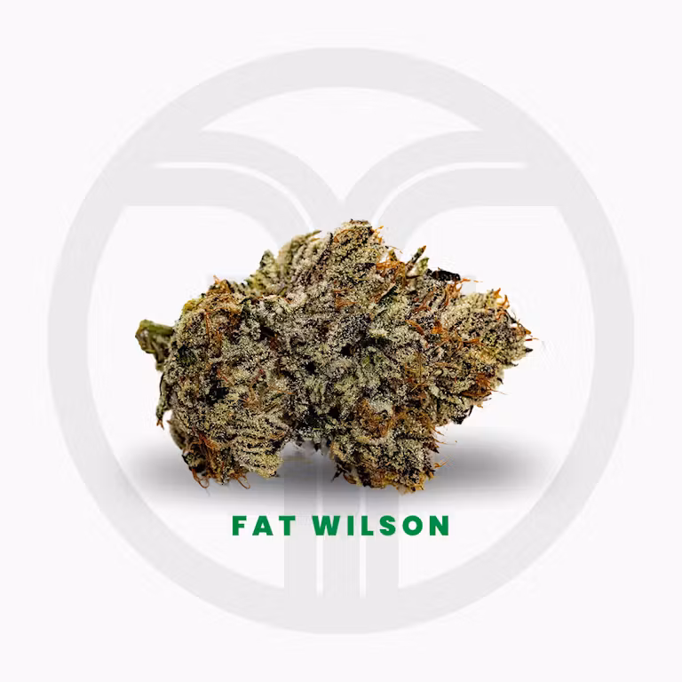 Photograph of product: Fat Wilson Packaged 1/2 oz. | Freshy Fine - 14g