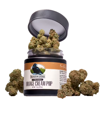 Photograph of product: Orange Cream Pop - 3.5g