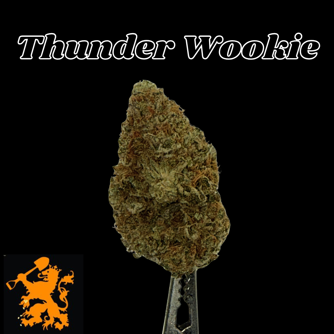 Photograph of product: Thunder Wookie #11 - Dutch Touch Genetics - 28g