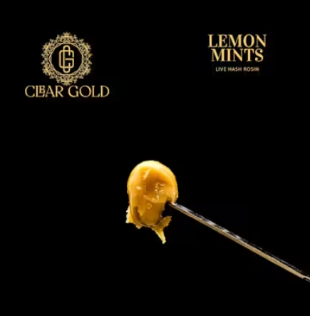 Photograph of product: Lemon Mints Live Rosin Concentrate 1g (H)