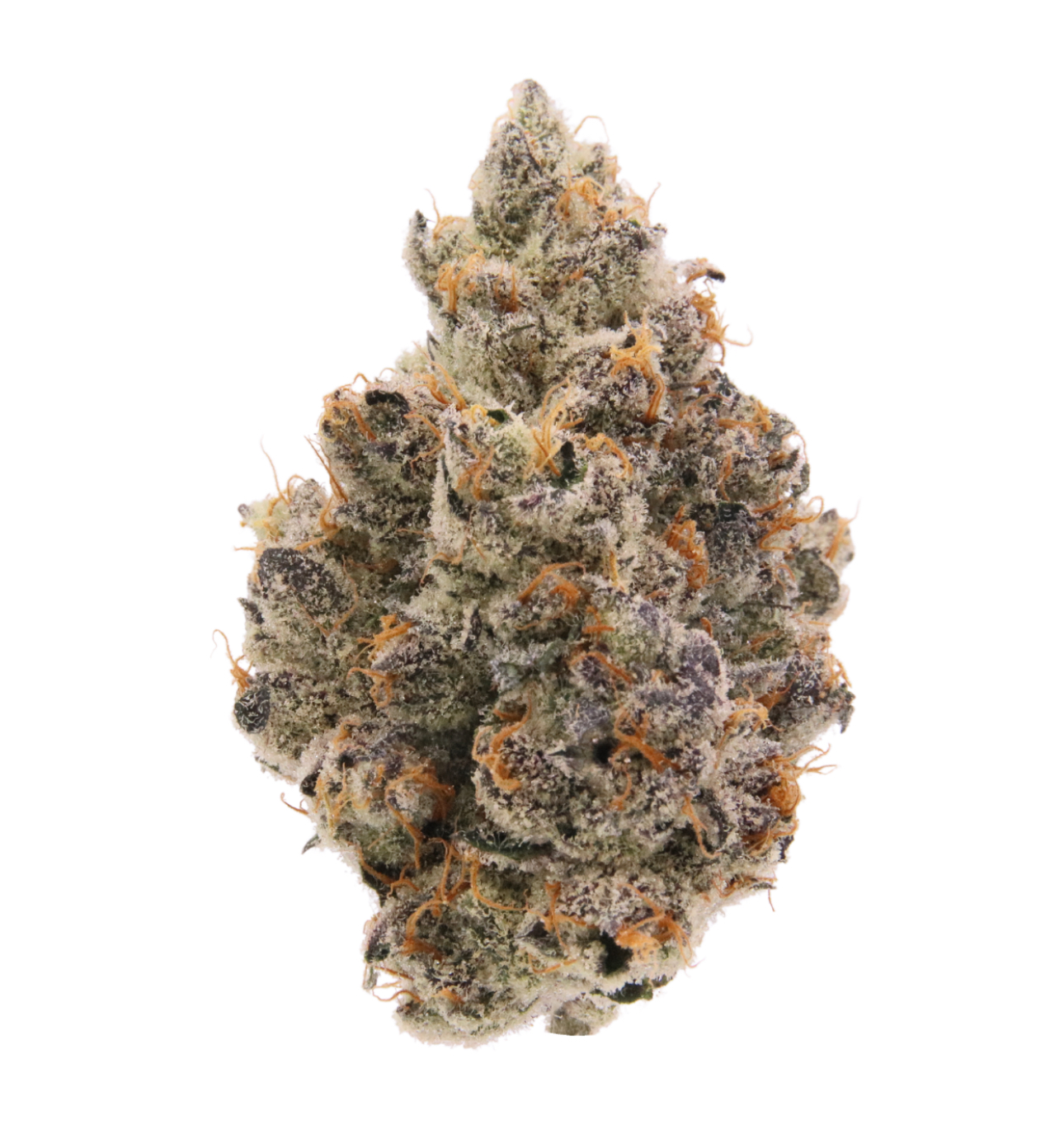 Photograph of product: Pruf Cultivar Grumpy Bananas - 7g