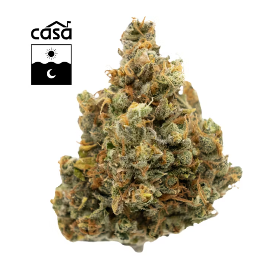 Photograph of product: Harbor House Sour Orange Zkittles 7g