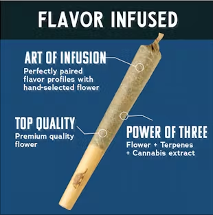 Photograph of product: Watermelon Wave | 1g |  Infused Pre-Roll