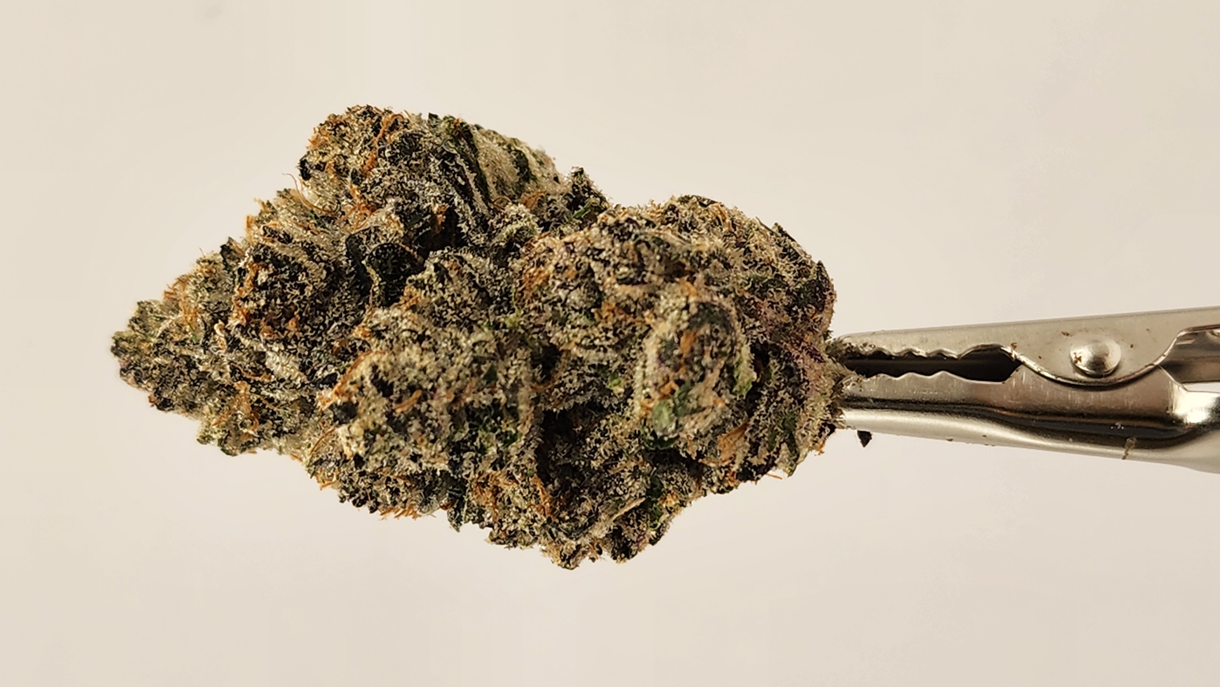 Photograph of product: Bacio (Resin Ranchers) - 28g