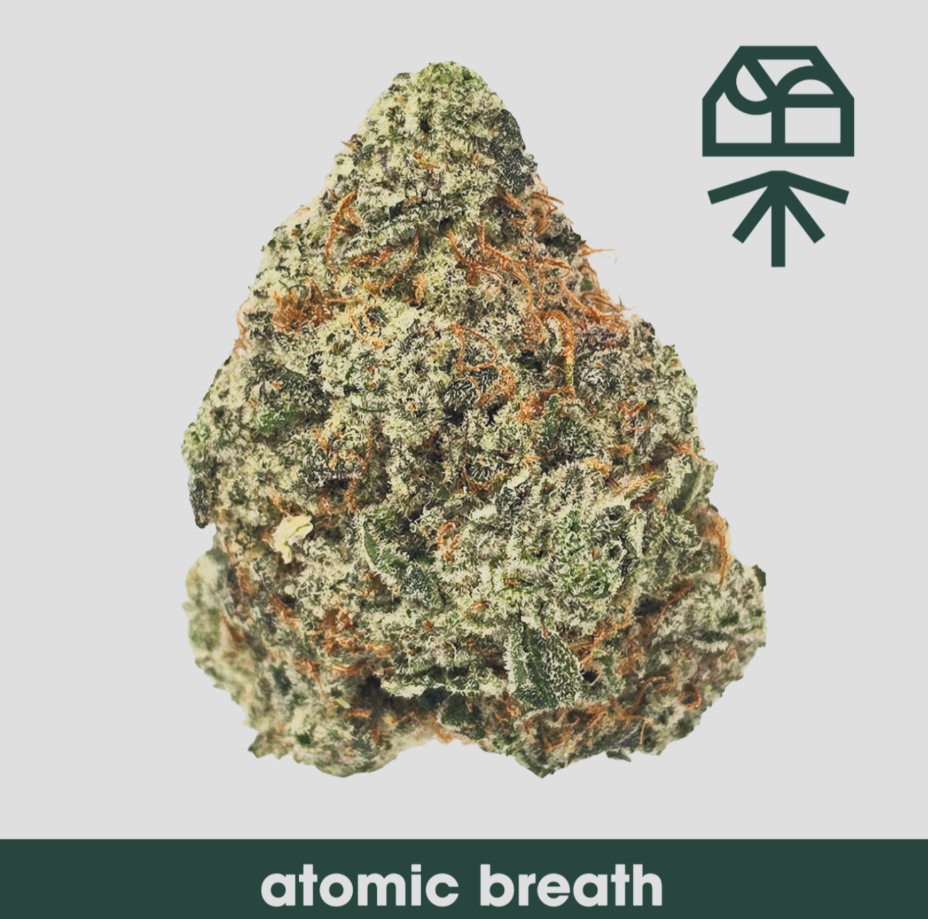 Photograph of product: Atomic Breath Whole Flower - 14g