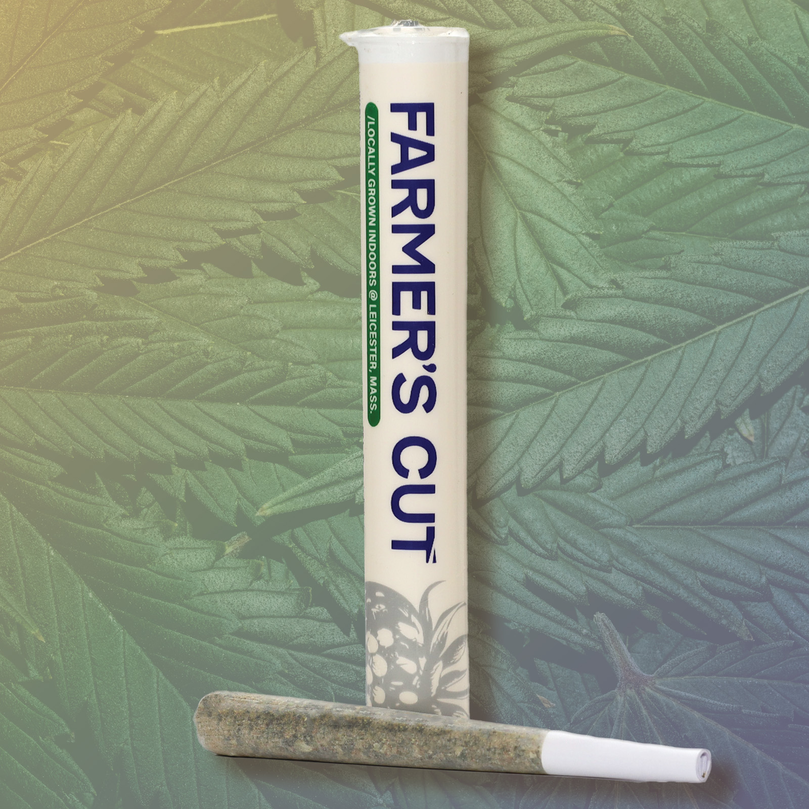 Photograph of product: Frosted Churro Pre-Roll | Farmer's Cut |