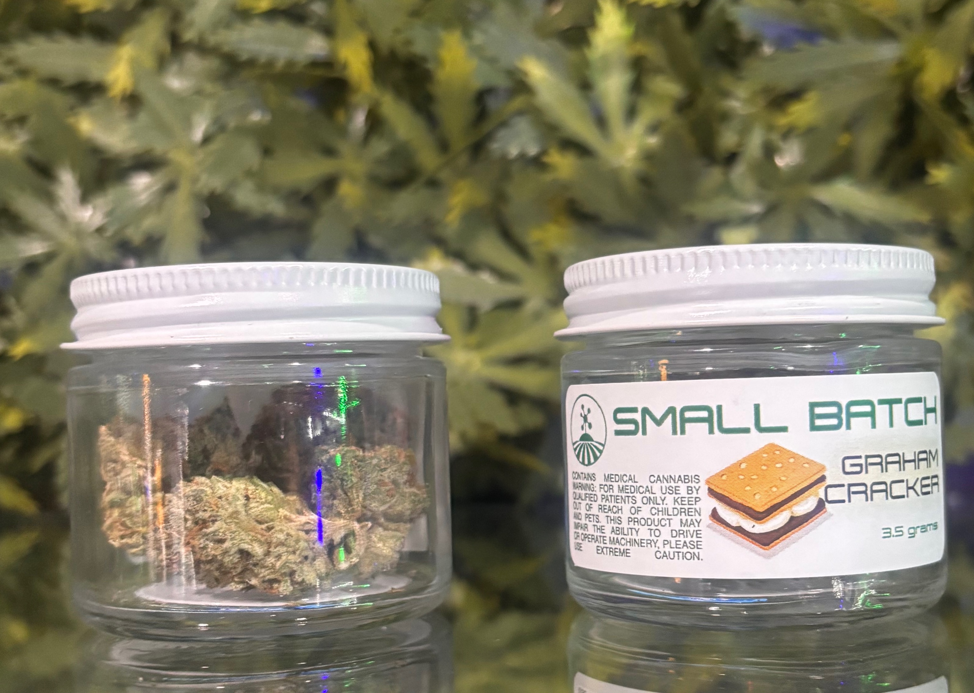 Photograph of product: Graham Cracker - 3.5g