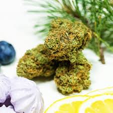 Photograph of product: In the Flow - Blue Dream prepacked - 3.5g