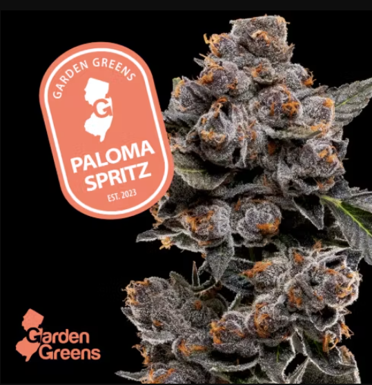Photograph of product: Flower | Paloma Spritz - 3.5g