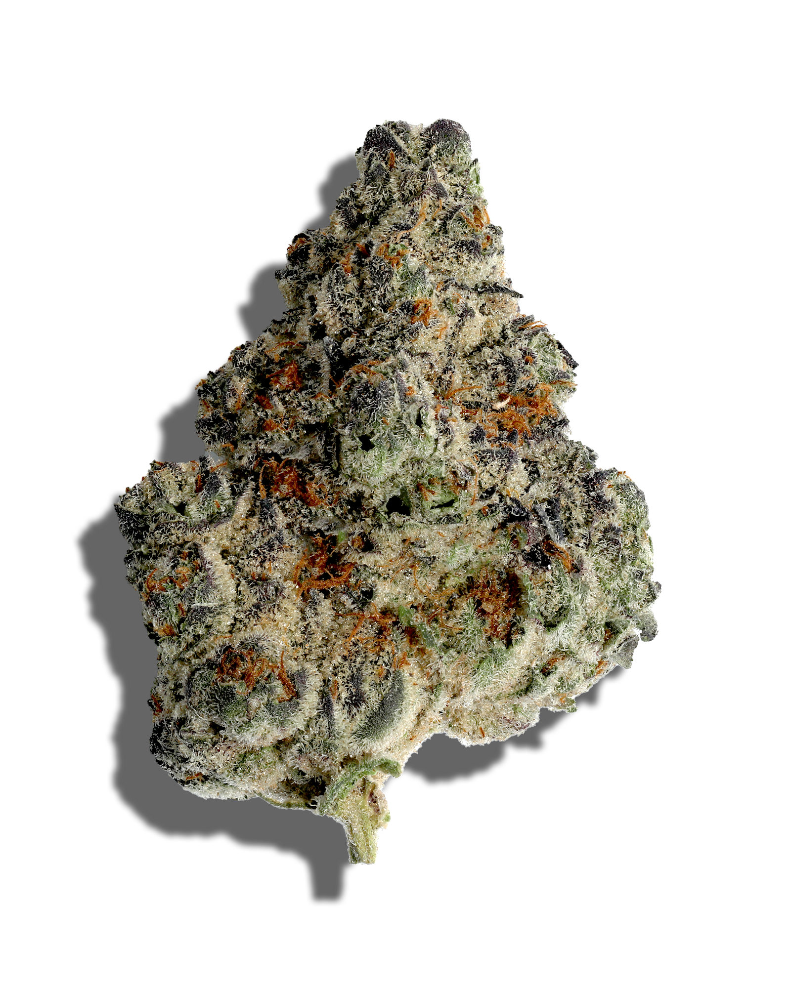 Photograph of product: Glitter Bomb X Sweet Tea 1oz
