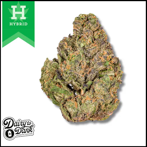 Photograph of product: Dairy 2 Dank - San Souci Pre-Pack (S-H) - 14g