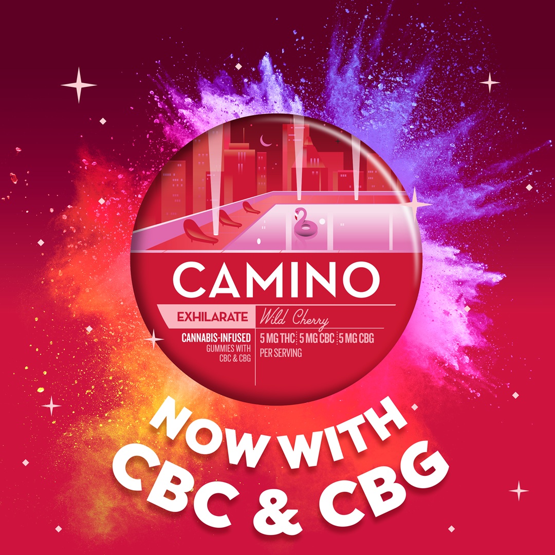 Photograph of product: Camino | Wild Cherry Gummies 1:1:1 TH-oui:CBG:CBC | 20 Pack
