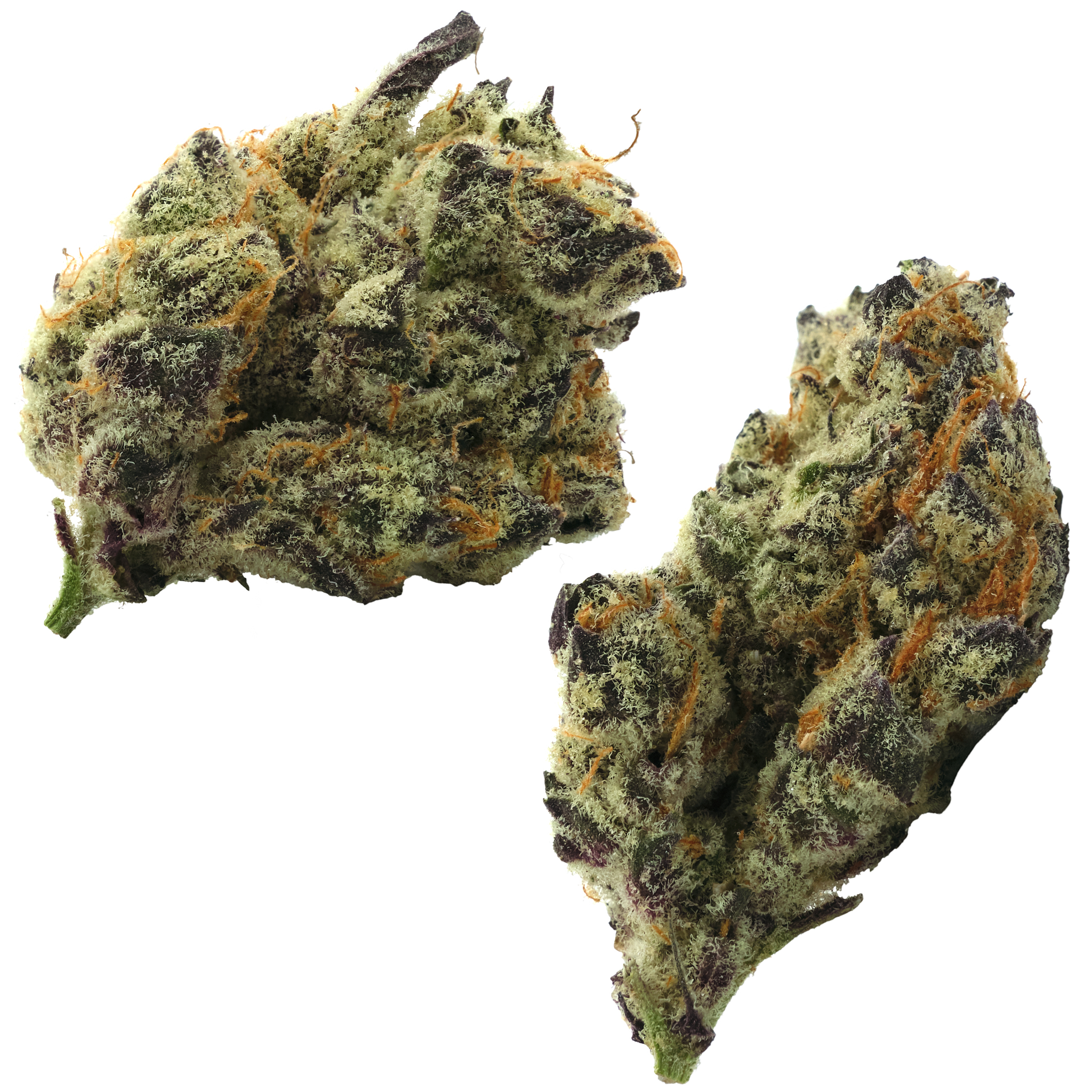 Photograph of product: Gator Breath - 28g