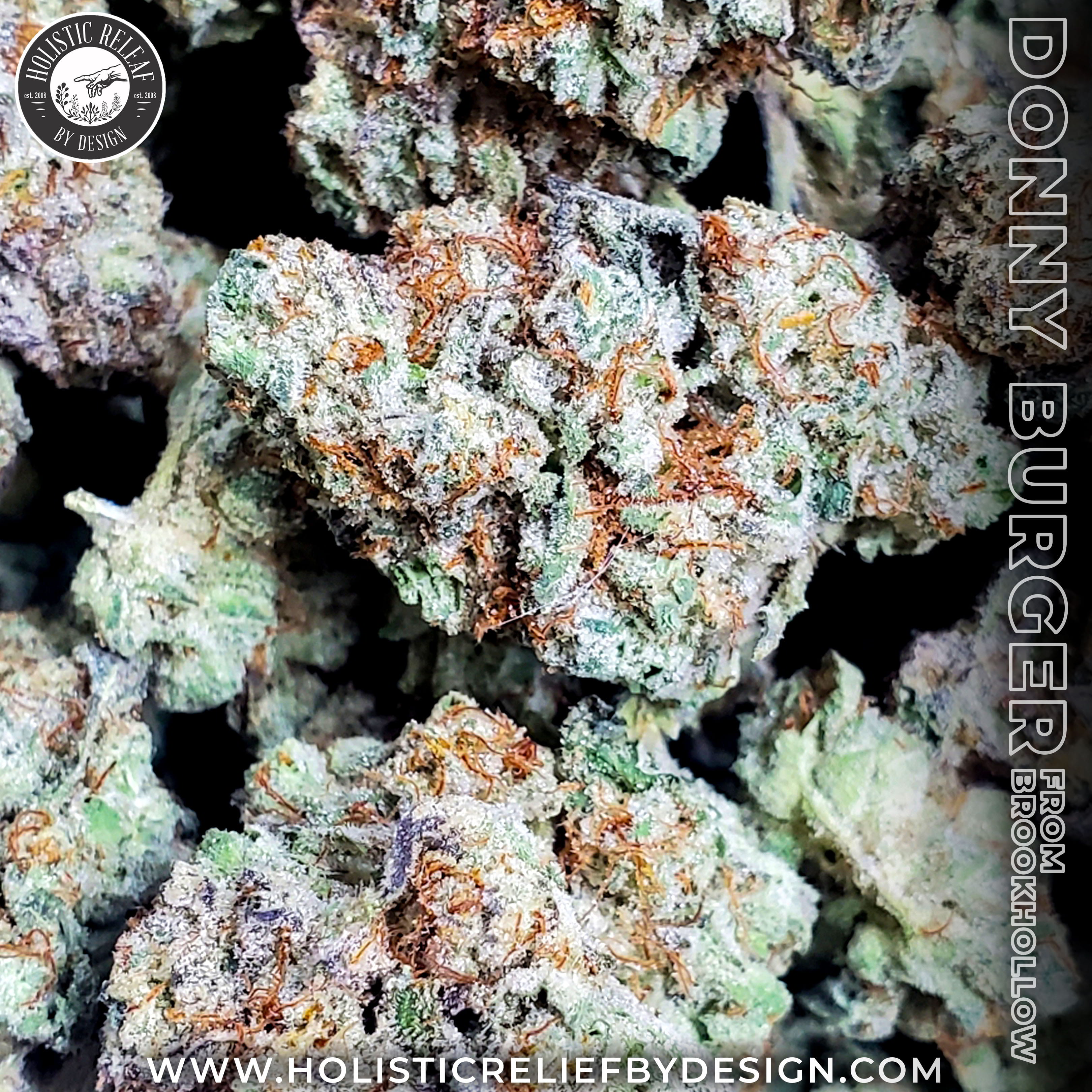 Photograph of Product: DonnyBurger#5-Flower-|Indica-Dominant|HRBD - 1g