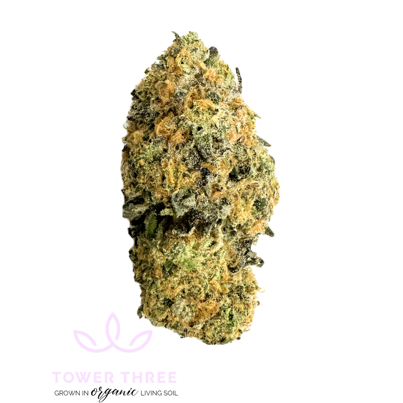 Photograph of product: Tea Time - 7g