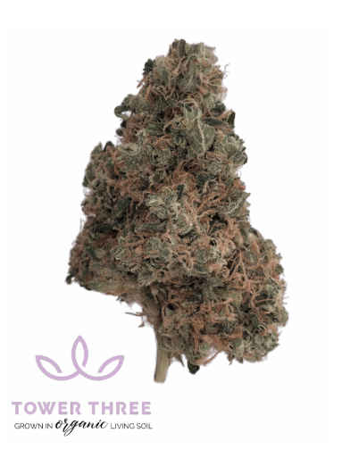 Photograph of product: East Coast Irene | 3.5g