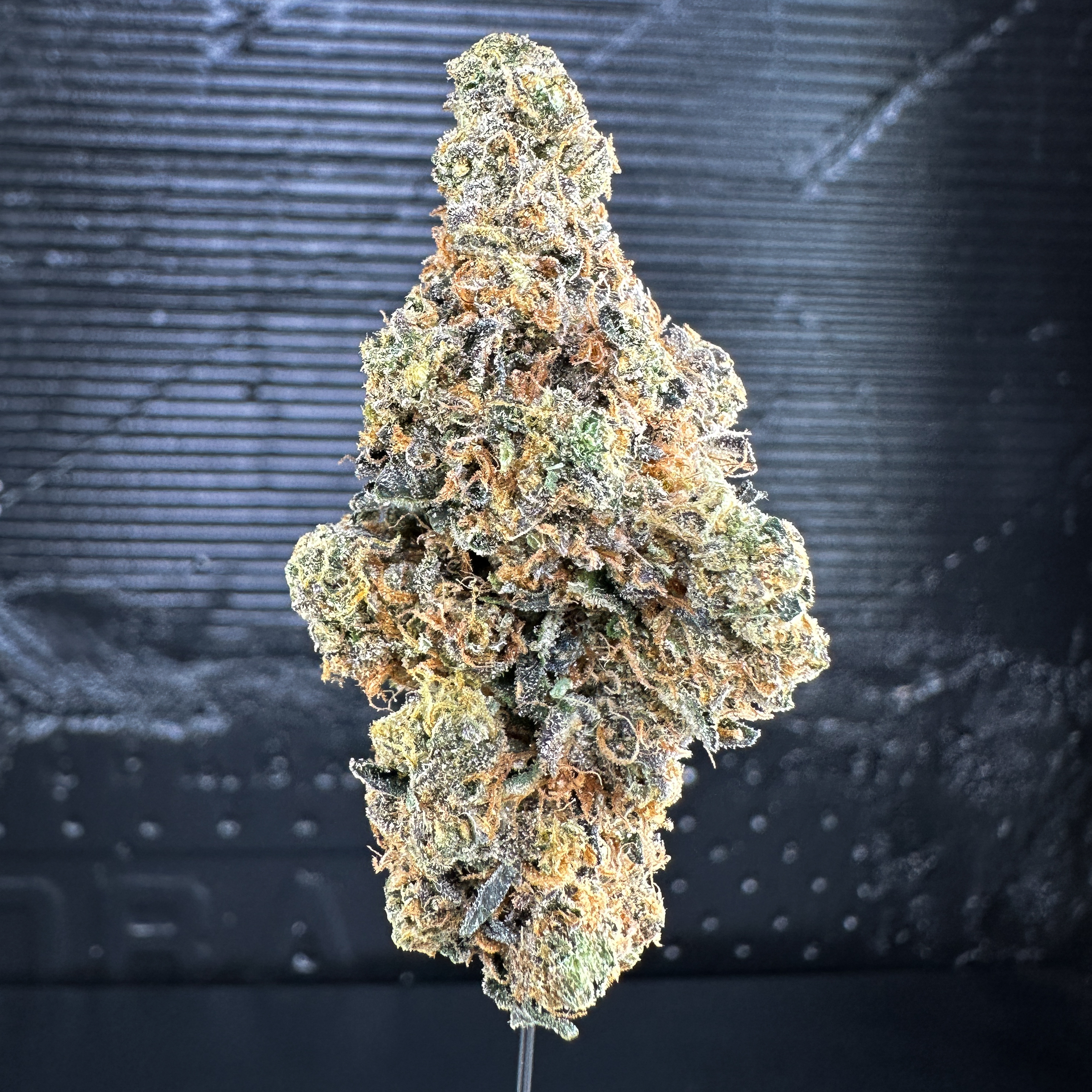 Photograph of product: Girl Scout Cookies - 14g