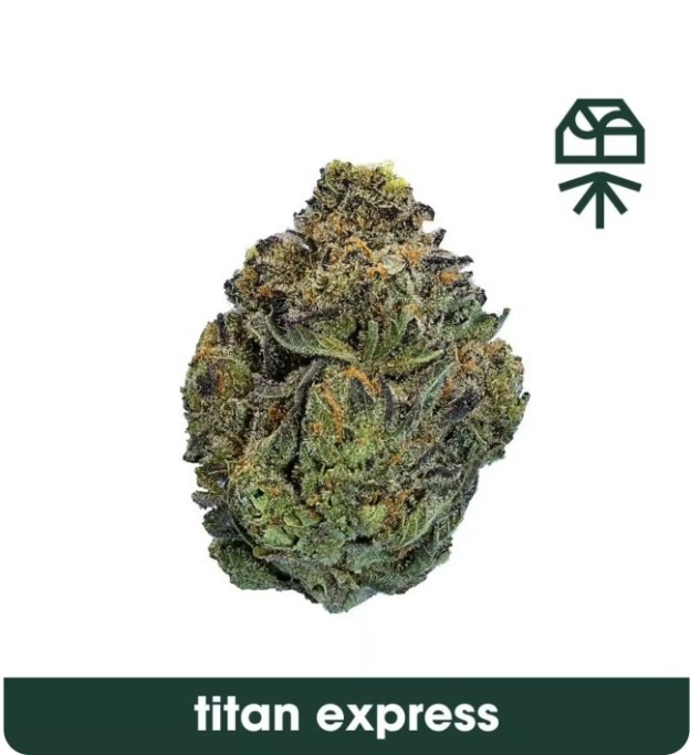 Photograph of product: Titan Express  | Small Flower | 7g