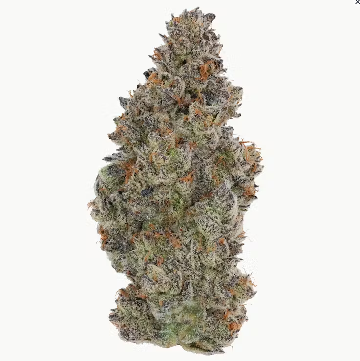 Photograph of product: Fig Farms Kronuts Flower 3.5g
