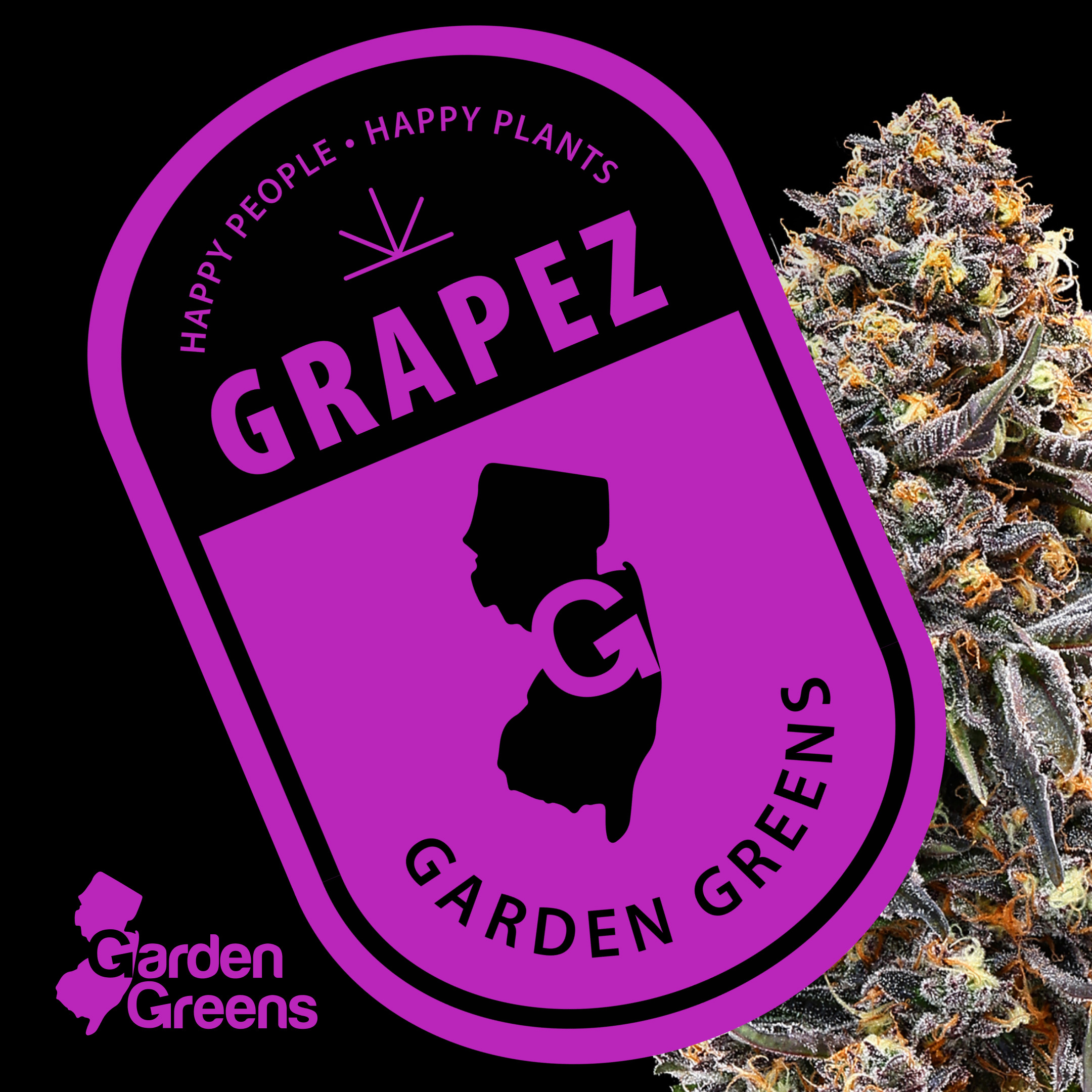 Photograph of product: Garden Greens | Flower | Grapez | 3.5g