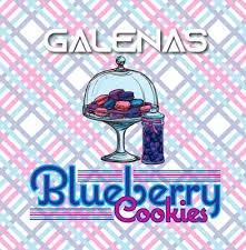 Photograph of product: Blueberry Cookies Infused Pre-Roll | 1.2g