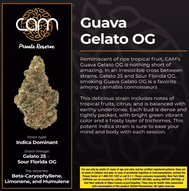 Photograph of product: CAM | Fruity OG | Whole Flower - 3.5g
