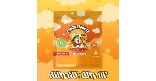 Photograph of product: MIGHTY MANGO VEGAN GUMMIES 3:1 (CBG:TH-oui) - 10pk