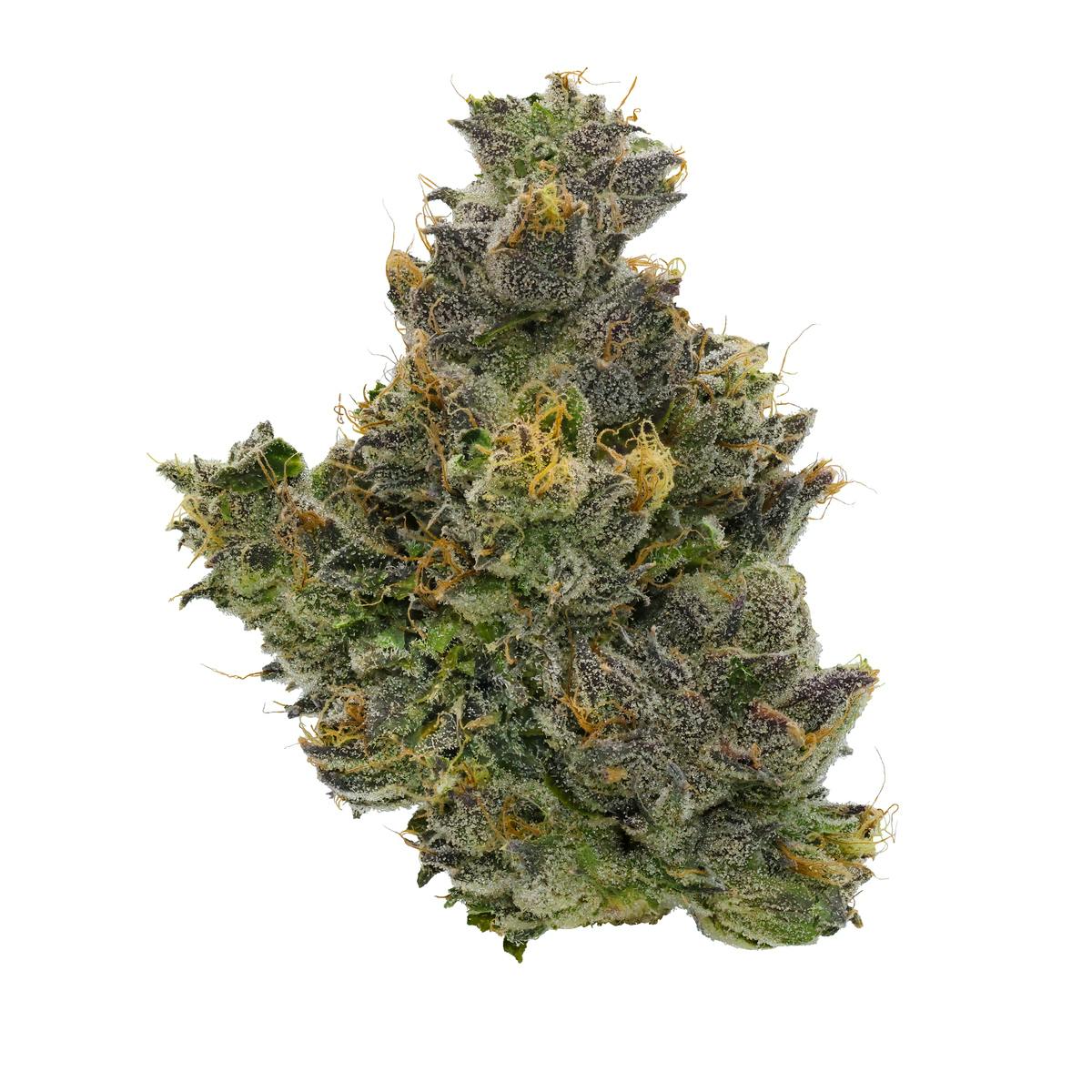 Photograph of product: FIG FARMS | FIG & CHERRY | FLOWER | 3.5G