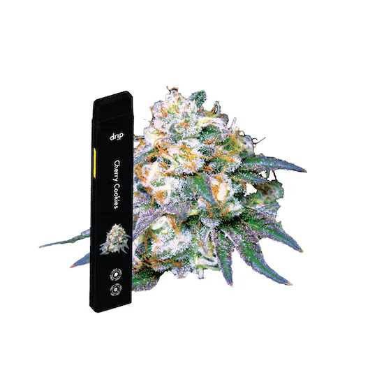 Photograph of product: DRIP | CHERRY COOKIES - AIO BIG RIPPER HYBRID