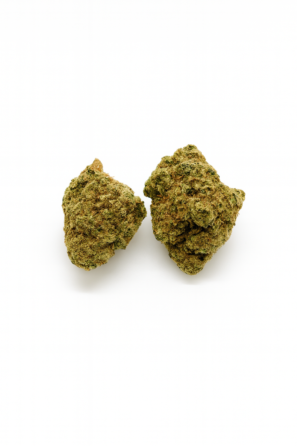 Photograph of product: Wise Trees - Hella Jelly - Bulk Flower - 28g