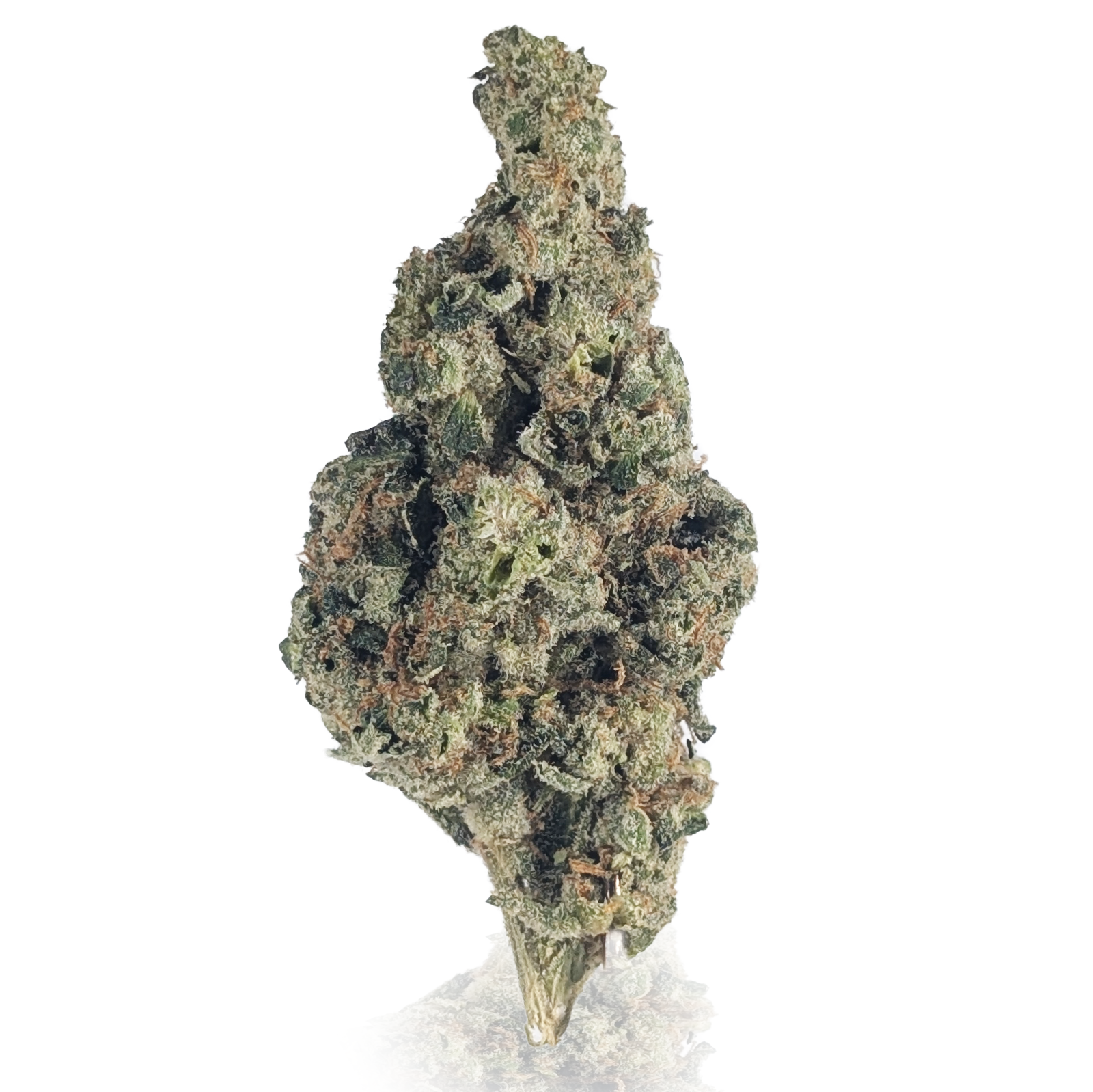 Photograph of product: FROSTED TRUFFLE PIE - BULK FLOWER - 1g