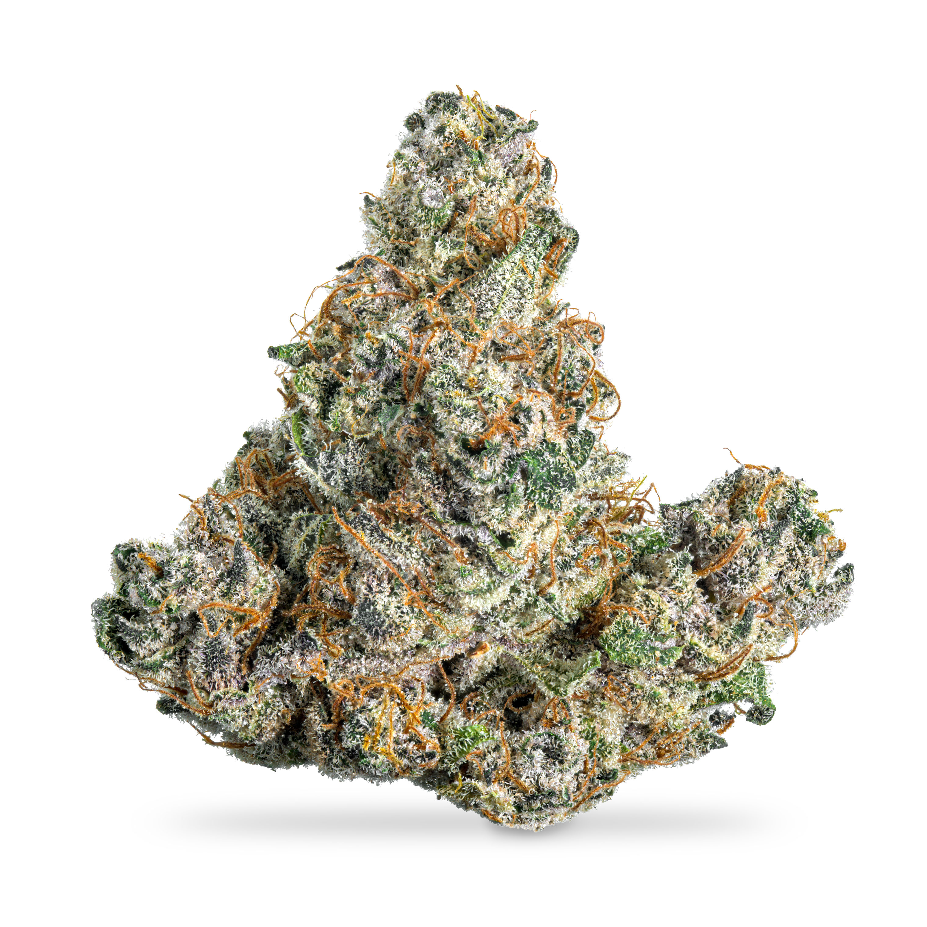 Photograph of product: GMO - 1g