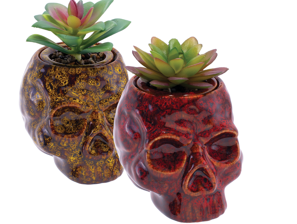 Photograph of product: Fujima | Skull Planter Ceramic Stash Jar | 4.5" Assorted Colors