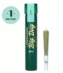 Photograph of product: Dogwalkers Big Dogs - Head Cracker - - Preroll