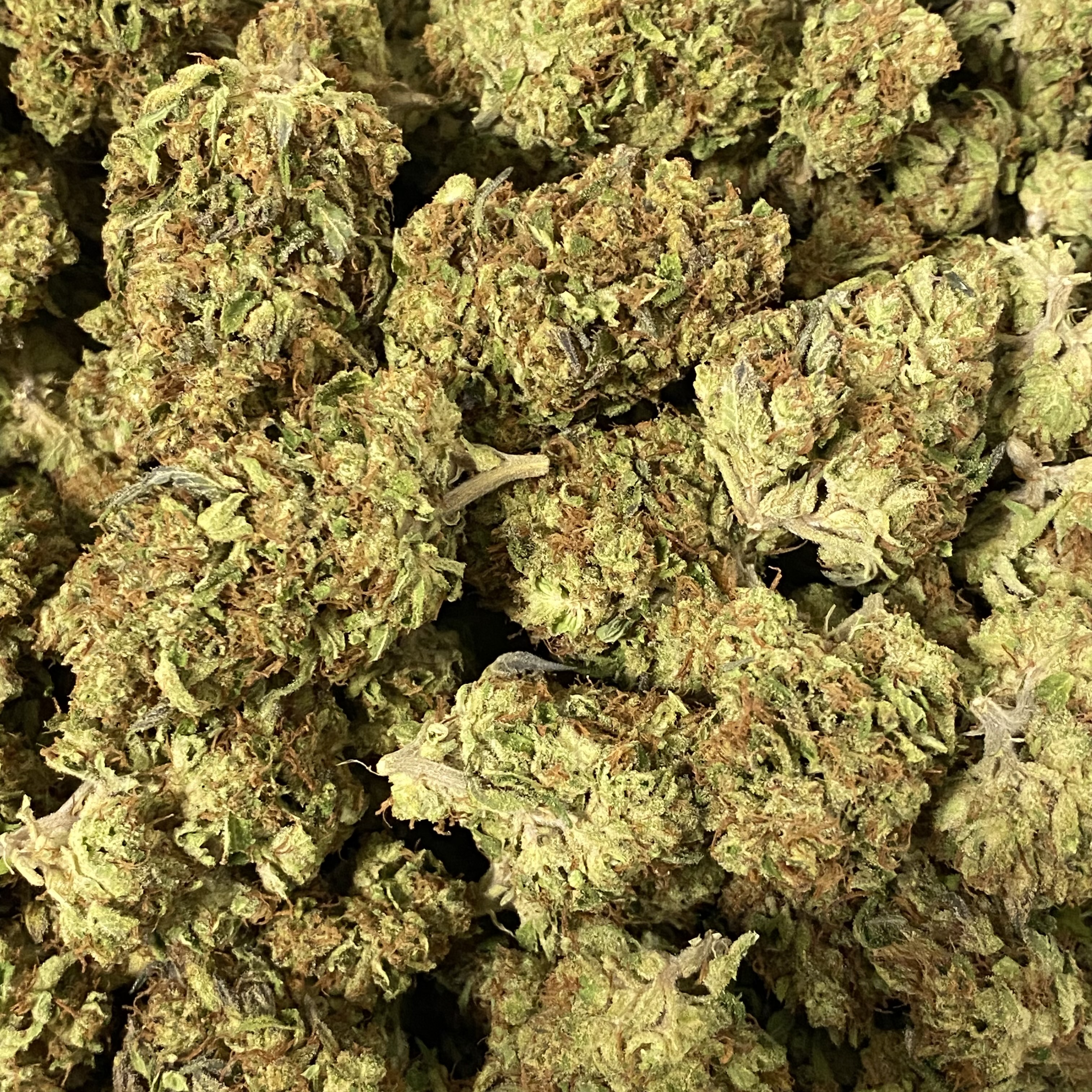 Photograph of product: GG Gluttony - 28g