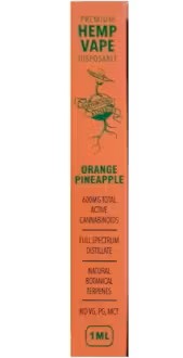 Photograph of product: Earthbound Remedies: Orange Pineapple 1G CBD Vape Disposable