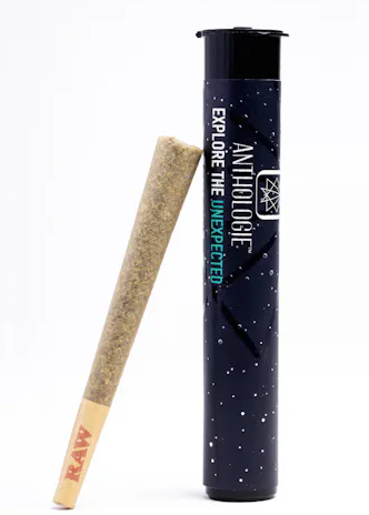 Photograph of product: Anthologie Banana Bread Preroll