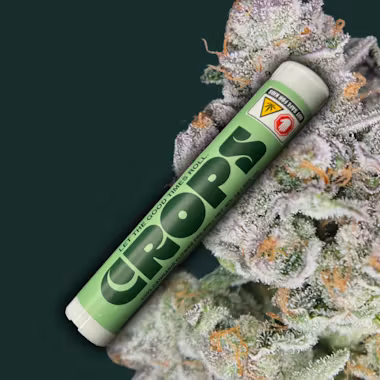 Photograph of product: Zummiez | Pre-roll