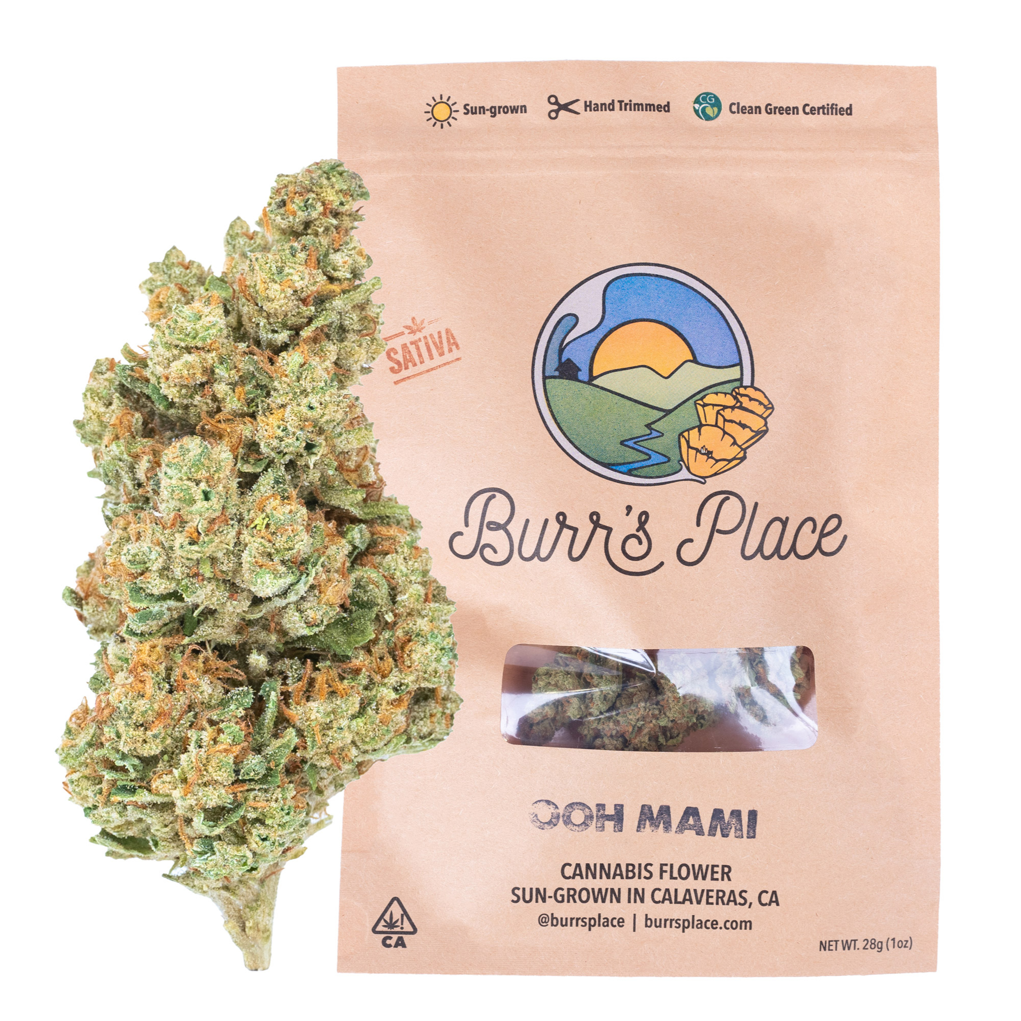 Photograph of product: Ooh Mami (S) | 28g Sungrown Flower