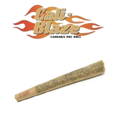 Photograph of product: Blue Muffin Infused Pre-Roll | 1.2g
