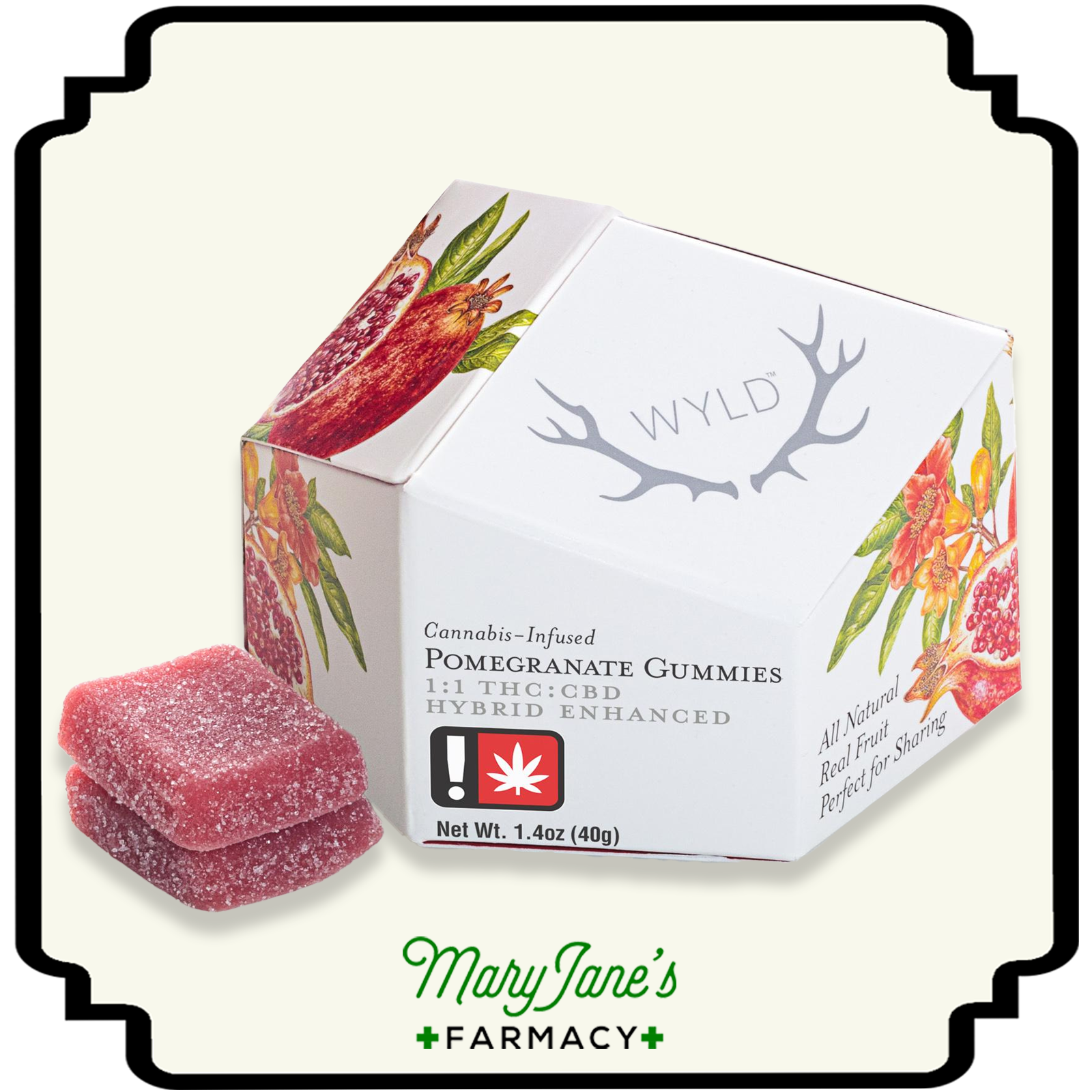 Photograph of product: Pomegranate 1:1 CBD + Hybrid Enhanced Gummies 10-Pack | 100mg