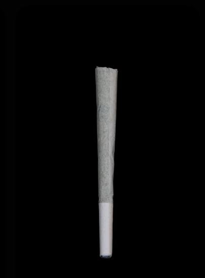 Photograph of Product: Glove Mintz Pre Roll Single T25.84 (10-00266)