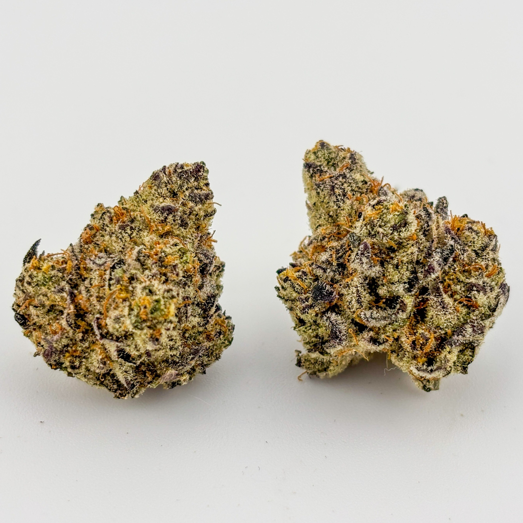 Photograph of product: Black Sheep Cultivation | Flower [I] | Han Solo in Platinum