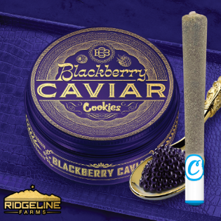 Photograph of product: BLACKBERRY CAVIAR [TRIPLE INFUSED] 1G