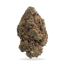 Photograph of product: Baseline | Bacio 3.5g