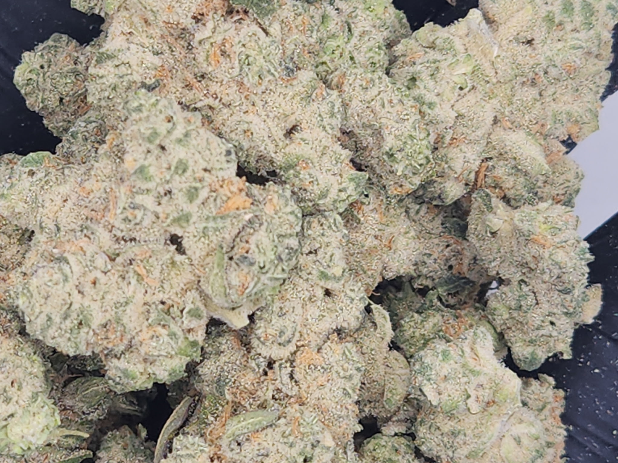 Photograph of product: Fresh Canna | Bulk Bud - HP Runtz - 28g